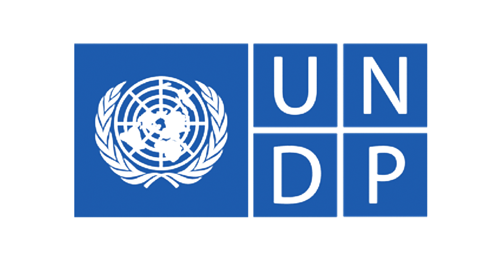 UNDP